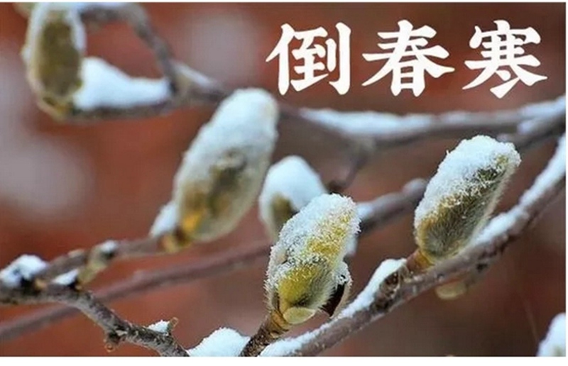 倒春寒來(lái)了！(圖1)