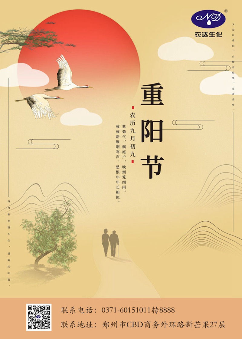 秋風(fēng)徐徐，重陽九九(圖1)