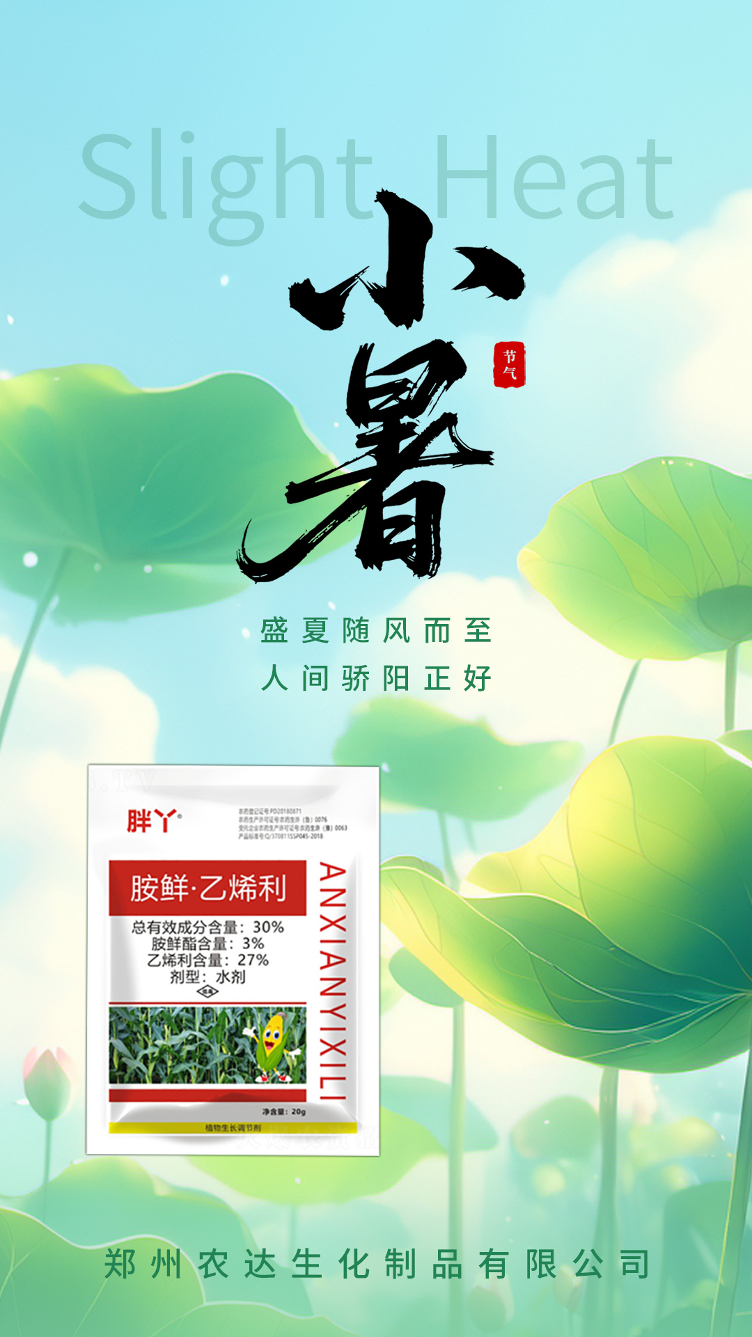 小暑(圖2)