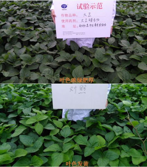 換個思路賣農(nóng)資，效果也不差！(圖1)