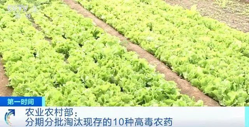 農(nóng)業(yè)農(nóng)村部：3年內(nèi)淘汰這10種高毒農(nóng)藥， 重點(diǎn)治理豇豆、韭菜、芹菜農(nóng)殘超標(biāo)(圖1)