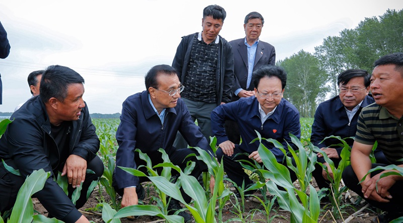 重磅！農(nóng)資上漲不要怕，補貼來了！(圖1)